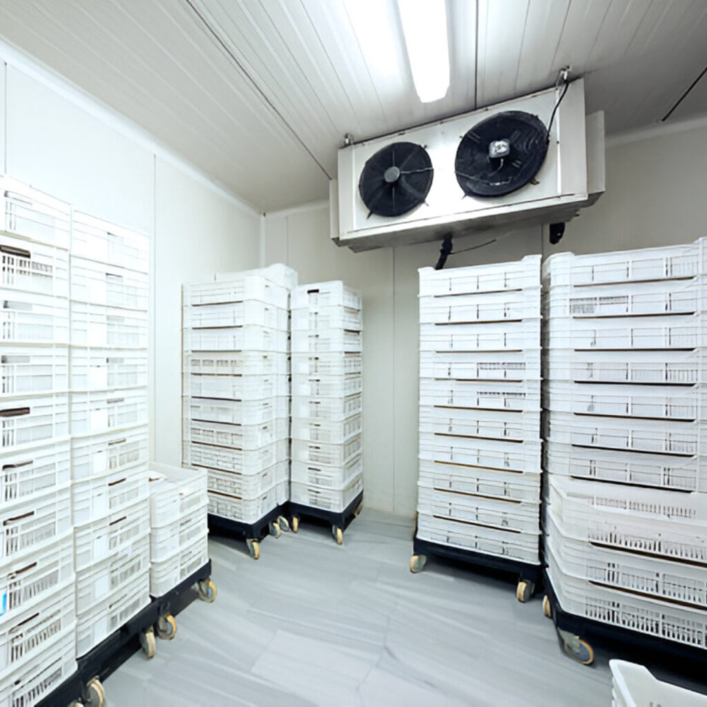 Coldroom-Best cool refrigeration